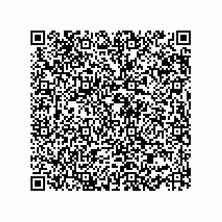 vCard 73952502499