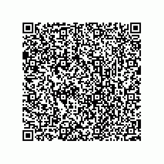 vCard 73952502531