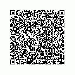 vCard 73952502539