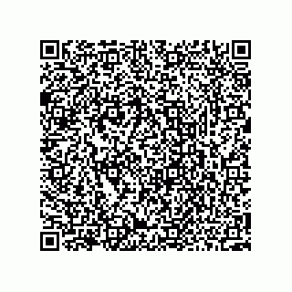 vCard 73952502541