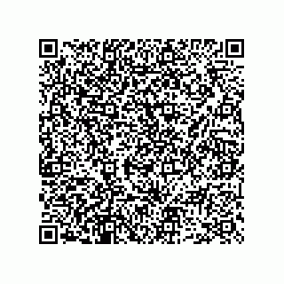 vCard 73952502728