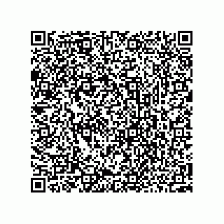 vCard 73952502731