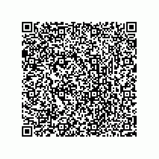 vCard 73952502733