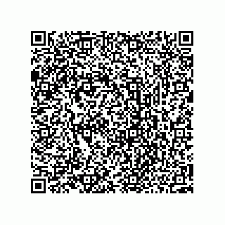 vCard 73952502737