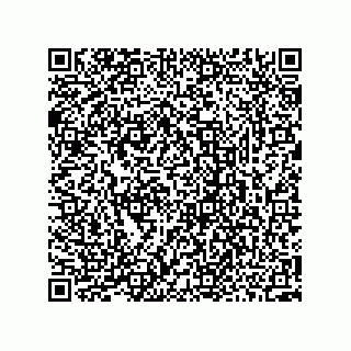 vCard 73952502803