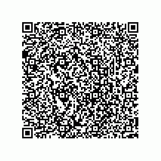 vCard 73952502804