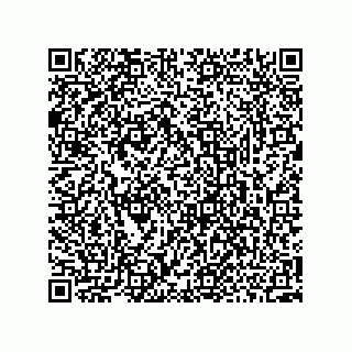 vCard 73952502809
