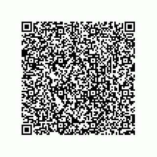 vCard 73952502811