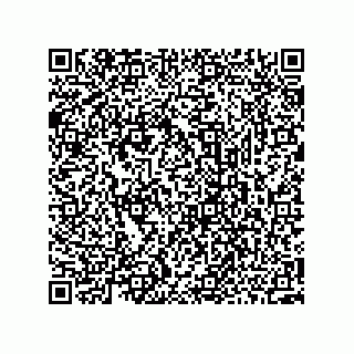 vCard 73952502833
