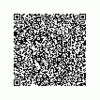 vCard 73952502835