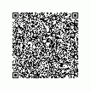 vCard 73952502841