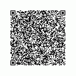 vCard 73952502849