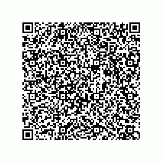 vCard 73952502863