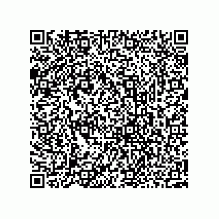 vCard 73952502873
