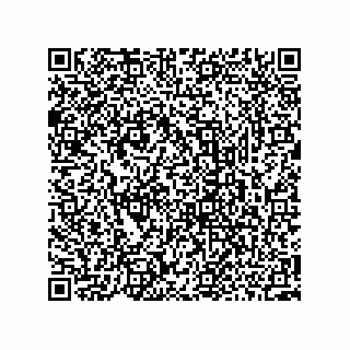 vCard 73952502879