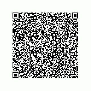 vCard 73952502885