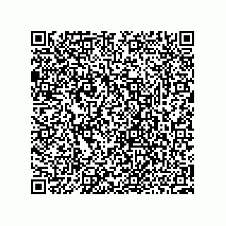 vCard 73952502889