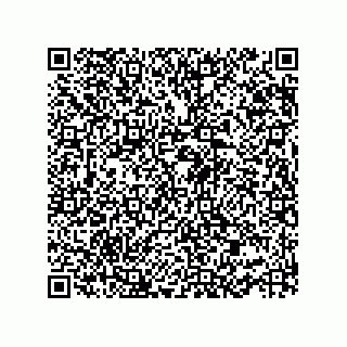 vCard 73952502929