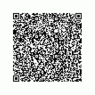 vCard 73952502963