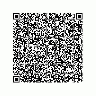 vCard 73952502979