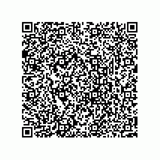 vCard 73952502989