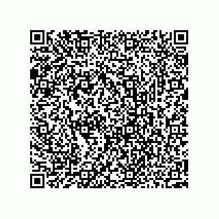 vCard 73952513073