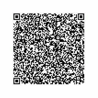vCard 73952513080