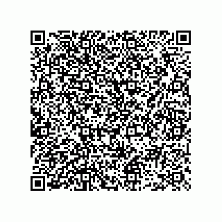 vCard 73952519509