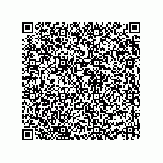 vCard 73952519518