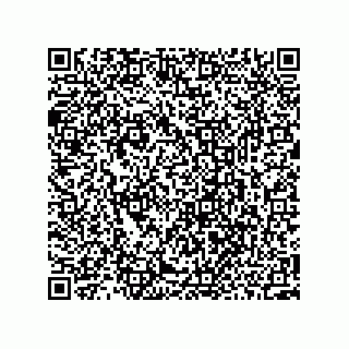vCard 73952519684