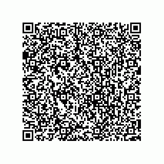 vCard 73952531291