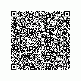 vCard 73952531711