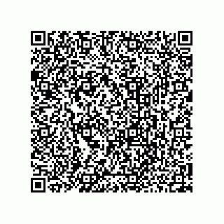 vCard 73952531727