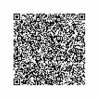vCard 73952531728