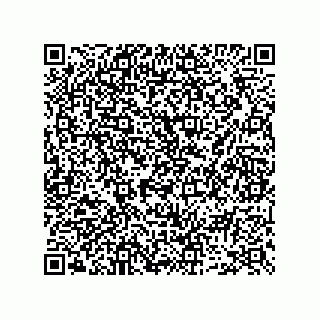 vCard 73952531729