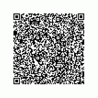 vCard 73952531741