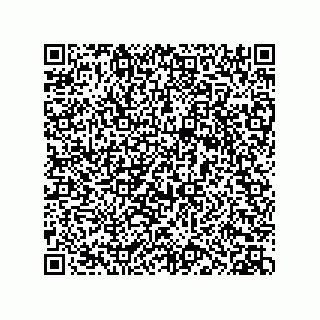 vCard 73952531789