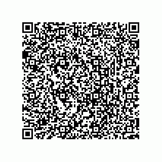 vCard 73952532403