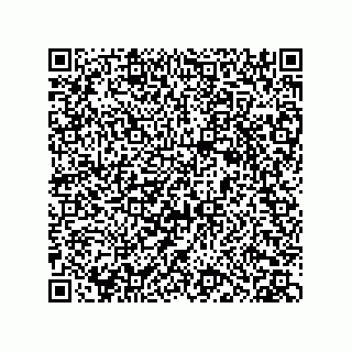 vCard 73952533711