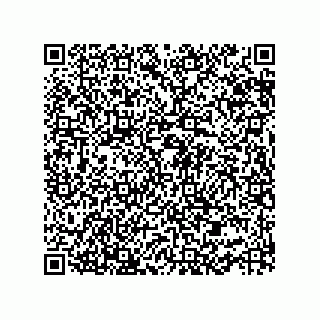 vCard 73952533793