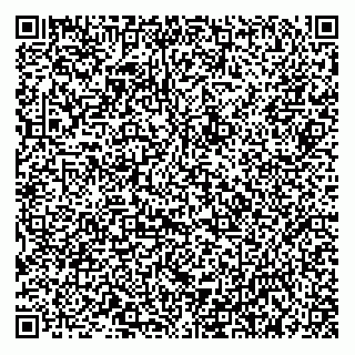vCard 73952538881