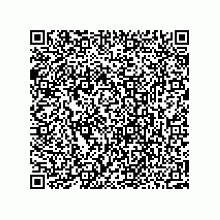 vCard 73952538883