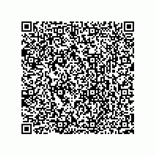 vCard 73952541115