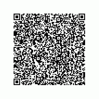 vCard 73952541119