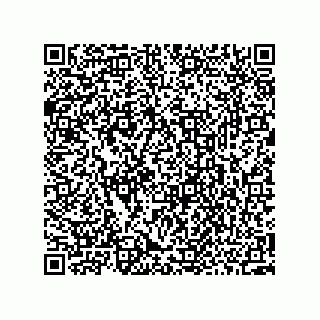 vCard 73952541581
