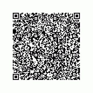 vCard 73952550933