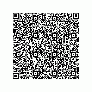 vCard 73952559389
