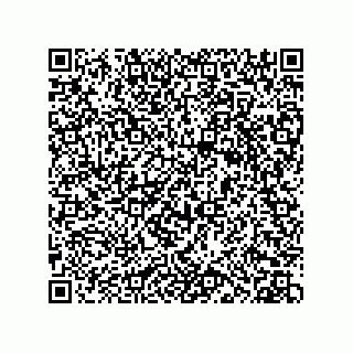 vCard 73952563303