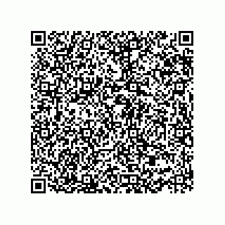 vCard 73952563311