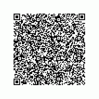 vCard 73952593519